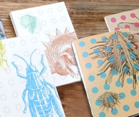 Scribblebook