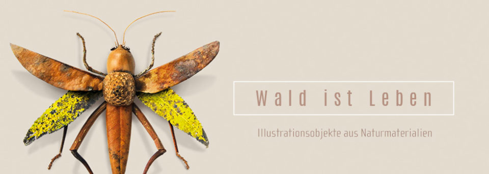 Wald